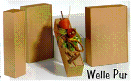 Welle pur